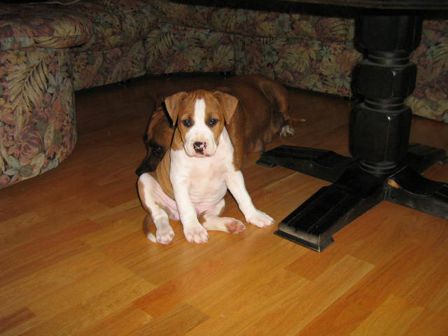Poslední fotky 1.6.2009 117.jpg