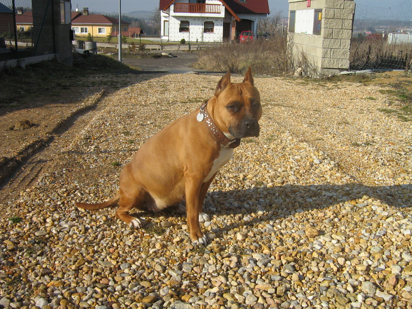 Lia v jiném stavu 020.jpg